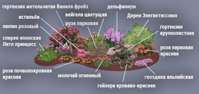 Вид клумбы в схеме посадки которой используются несколько разных оттенков одного цвета